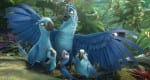 Image shows a still from the upcoming animated movie, Rio 2. The still shows 5 blue birds sitting together as a family in the jungle.